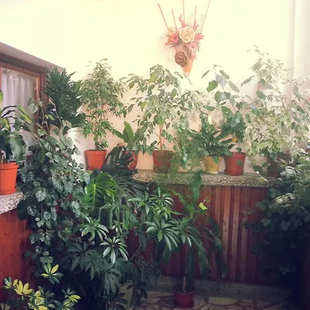 Vylchev בית אירוח *