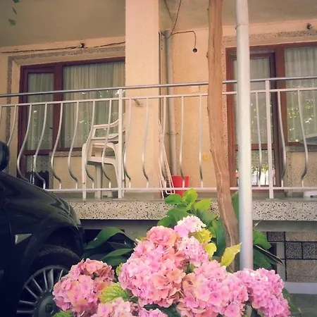 בית אירוח Vylchev *