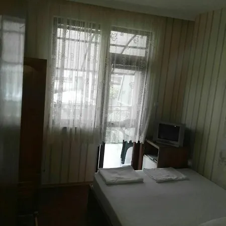 Vylchev בית אירוח *