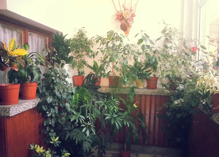 Vylchev Privatunterkunft *