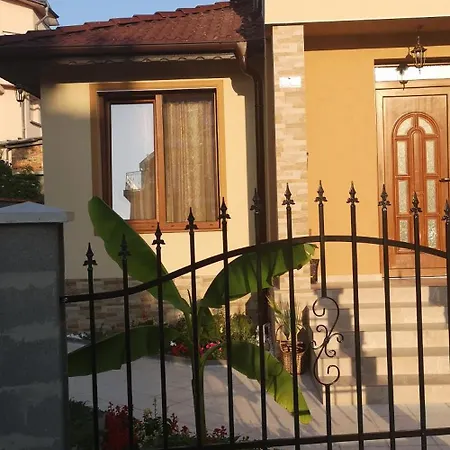 Проживание в семье Vylchev