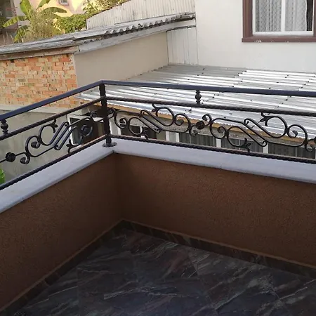 Vylchev Kiten (Burgas)