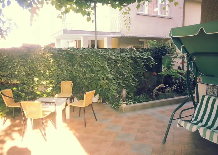 Проживание в семье Vylchev