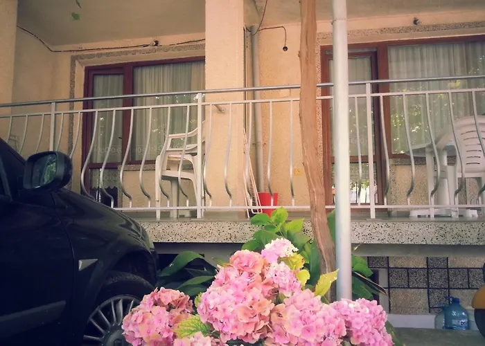 Проживание в семье Vylchev *