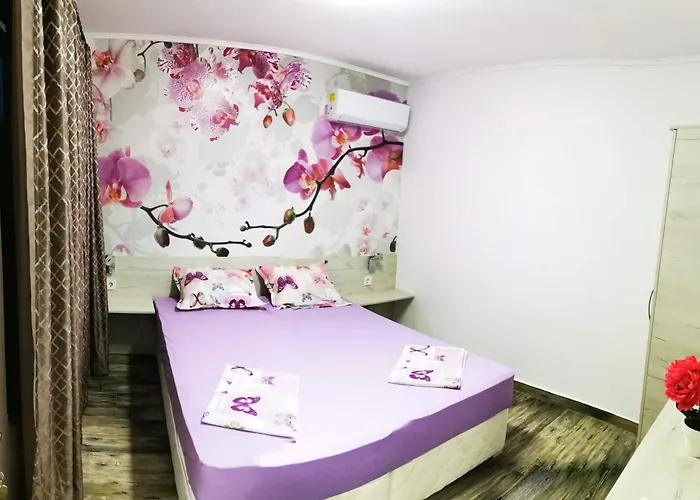 Vylchev Проживание в семье *