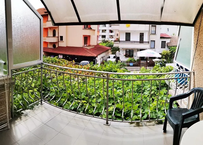 Проживание в семье Vylchev *