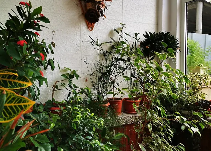 Vylchev Kwatera prywatna