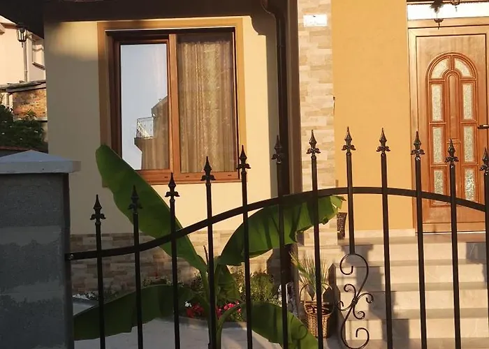 Проживание в семье Vylchev