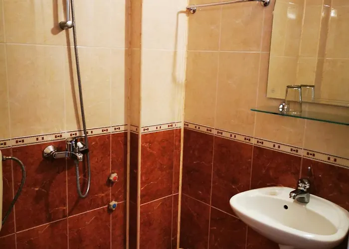 Проживание в семье Vylchev