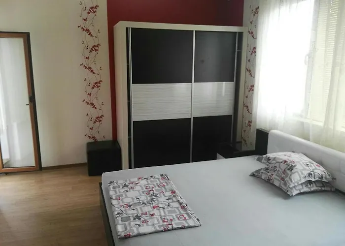 Проживание в семье Vylchev