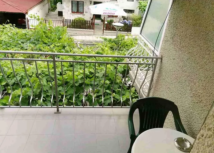 Проживание в семье Vylchev Китен